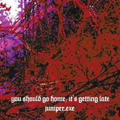 you should go home, it's getting late