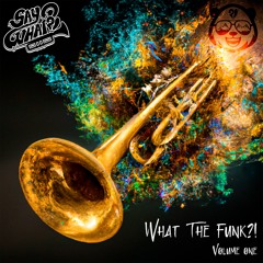 What The Funk?! (Volume 1)