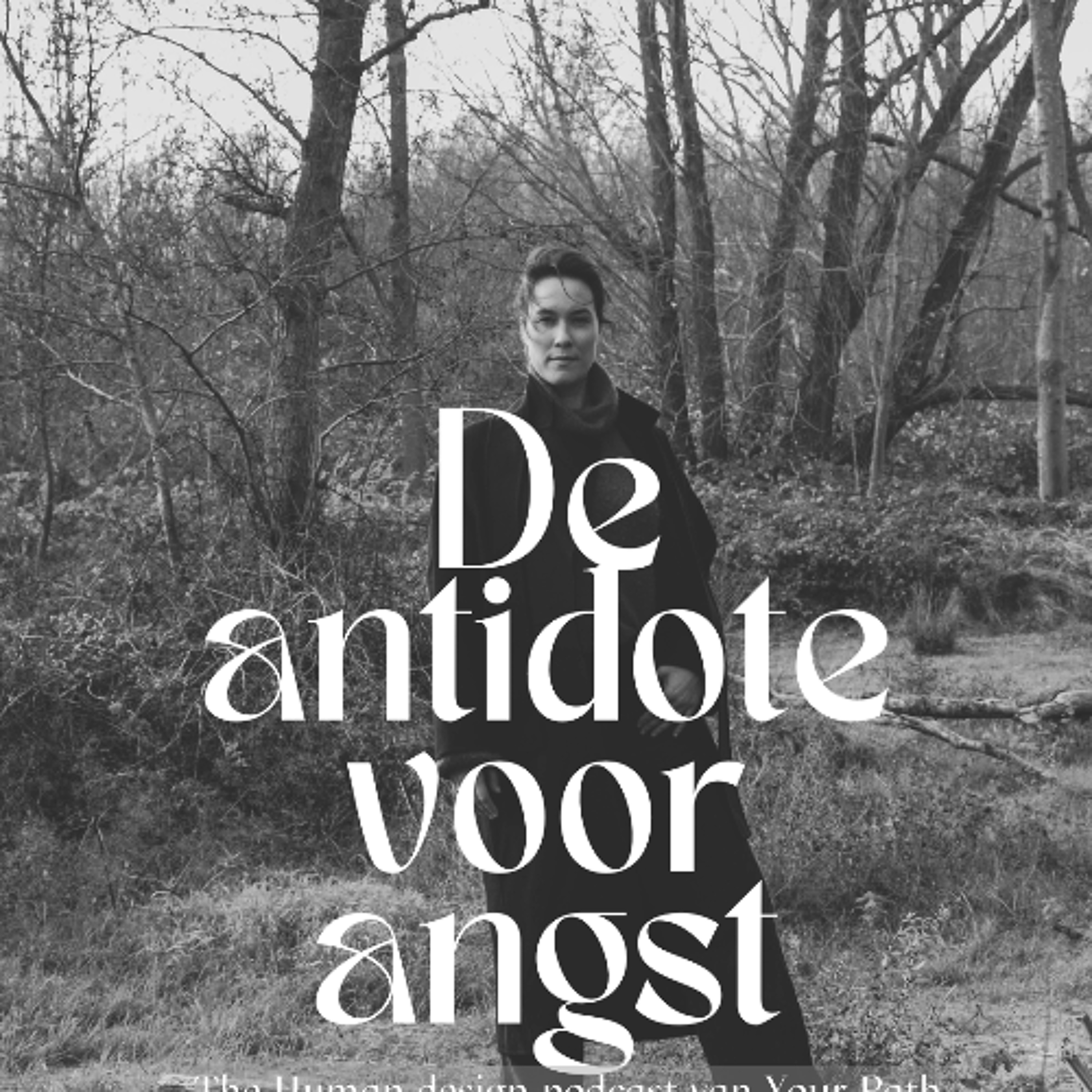 #53 De antidote voor angst episode artwork