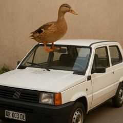 Papero vola