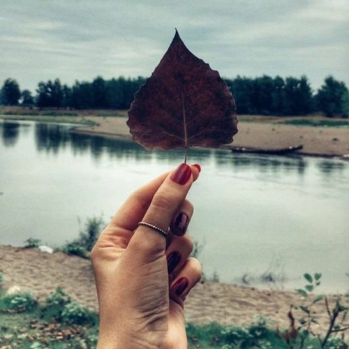 میسپارمت به باد - امید نعمتی