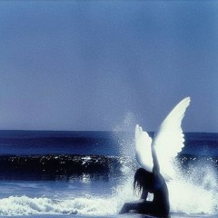 Momentary Sanctuary 002