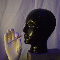 Tunnel dogs bark loud