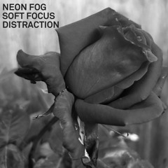 Soft Focus Distraction