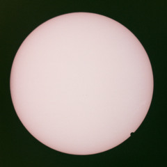 I Don't Eat Human Beings