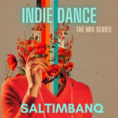 Indie Dance The Mix Series 𝙎𝙇𝙏𝘽𝙌
