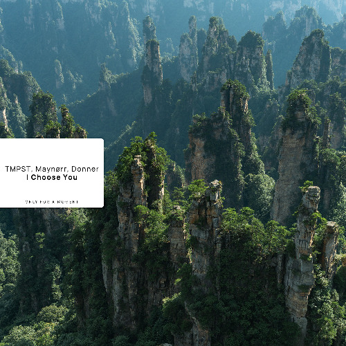 I Choose You (Radio Edit)