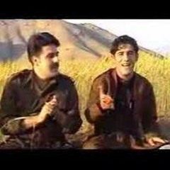 Gorani Kurdi - Berhan