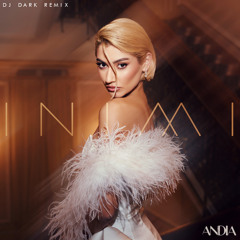 Andia - Inimi (Dj Dark Remix)