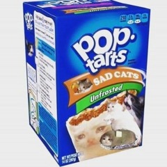 songs to debate whether poptarts are ravioli or not