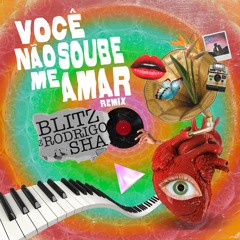 Você Não Soube Me Amar - Blitz & Rodrigo Sha ( Extended MIX)
