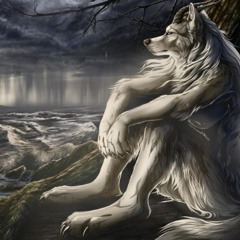 BARELY LUCID UNDER THE MOONLIGHT