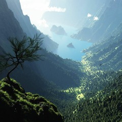 DOUWE MURDI PLAGUE DUB MIX 5 Bonus 2021