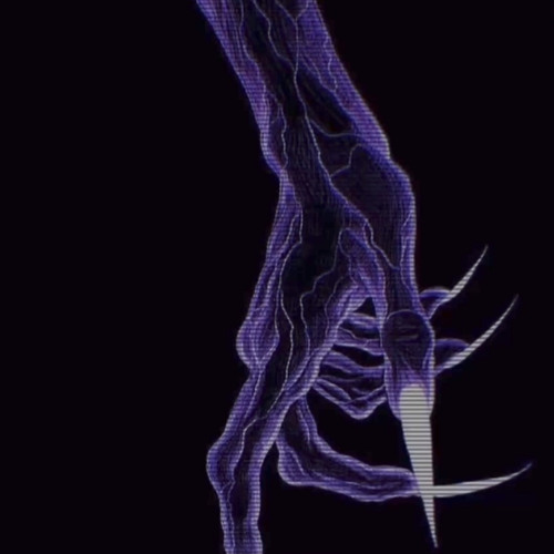 5558