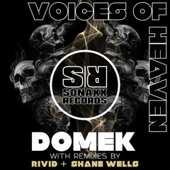 Voices of Heaven (Shane Wells Remix)