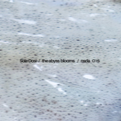 SYN Premiere: Sole Dosi - The Abyss Blooms [NSDA]