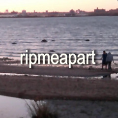 ripmeapart