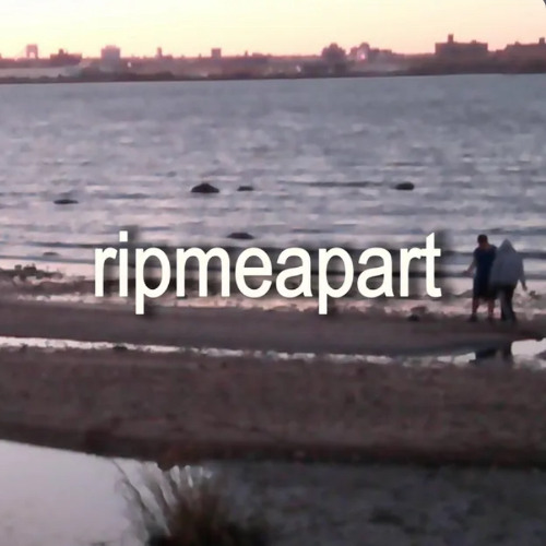 ripmeapart
