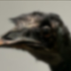 鏡