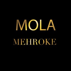Feels AP Dhillon Retro Mix- Molaaz