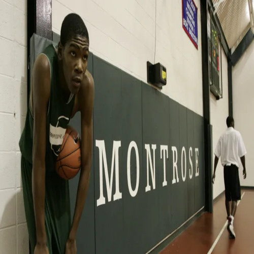 shestipsy - fnm nih can’t get in prod springghbk