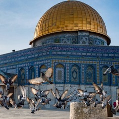 Omar Suleiman on Israel and Palestine | Lex Fridman Podcast Clips