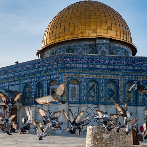 Omar Suleiman on Israel and Palestine | Lex Fridman Podcast Clips
