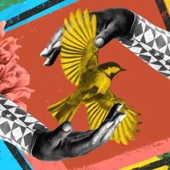 Oral History - They Can't Steal Our Joy (AFAM)