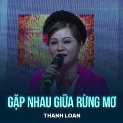 Gặp Nhau Giữa Rừng Mơ (Lofi)