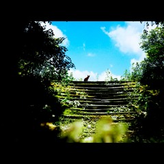 help me find the way to my past