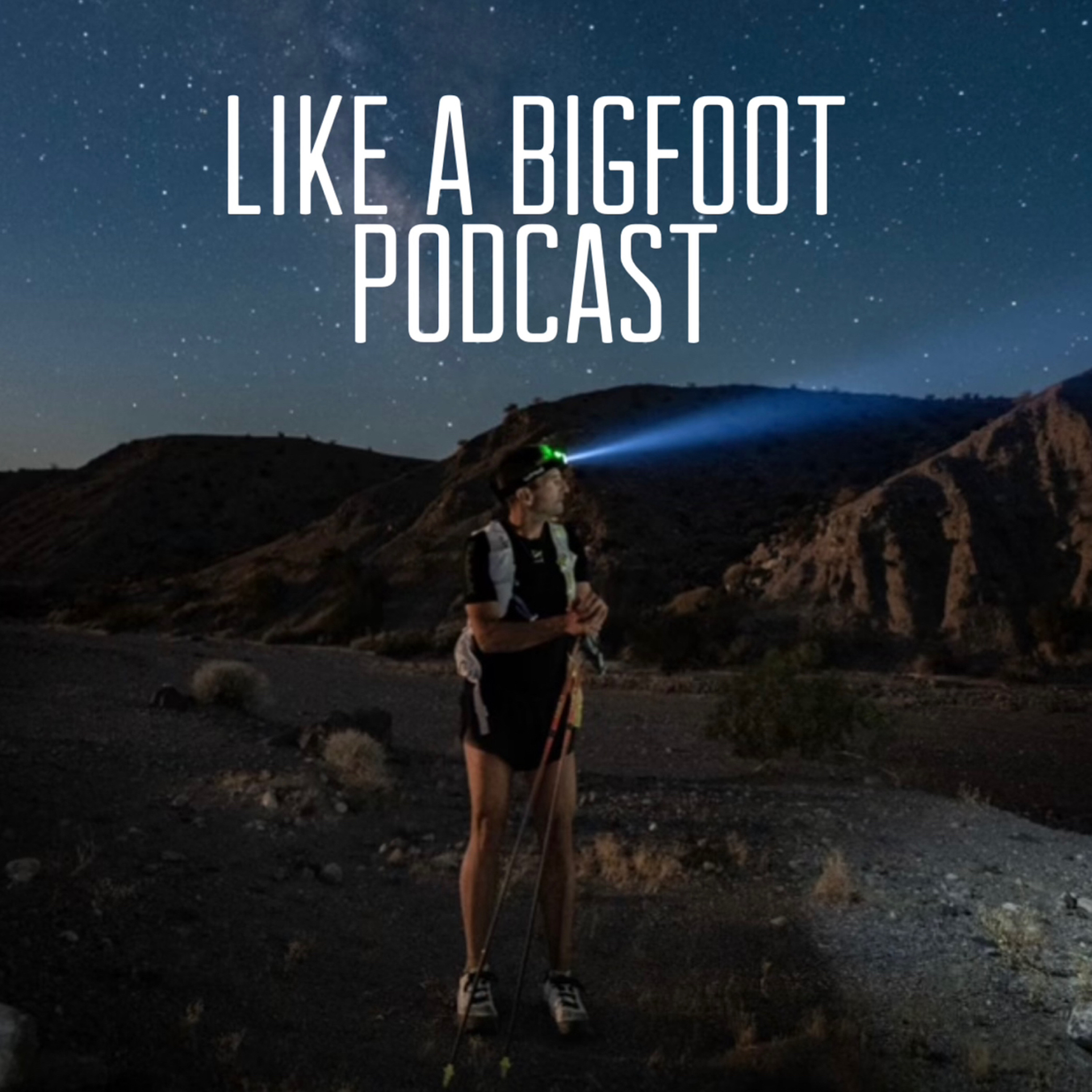 #368: Ray Zahab 4 -- Reflections on Adventure, Curiosity, Contentment, and Courage episode artwork