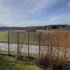 Dawn chorus from the garden in Håga