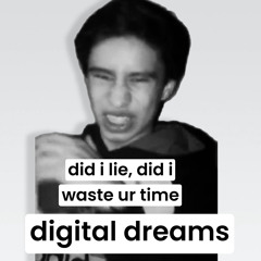 Did I Lie, Did I Waste Your Time