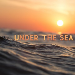 UNDER THE SEA - WAVE & Polsteam Beluga