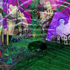 U CAN'T STEAL MY SWAG