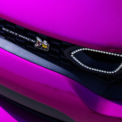 Scat Freestyle (prod. Dameranitup)