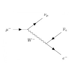 Simon Rees - Muon Scene
