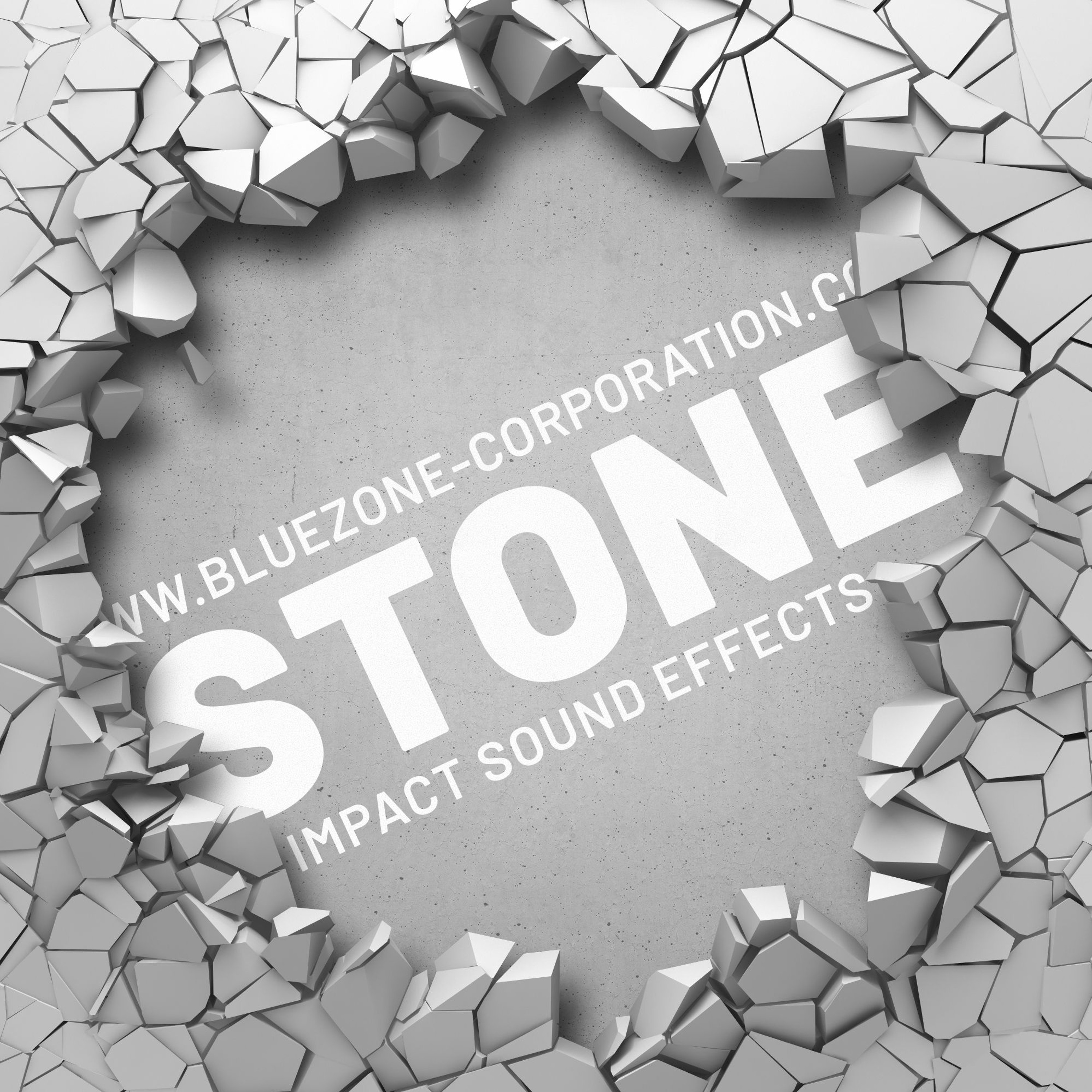 Bluezone Corporation
