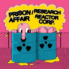 Prison Affair - Out Of Jail
