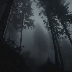 Deep Woods 31.03.25