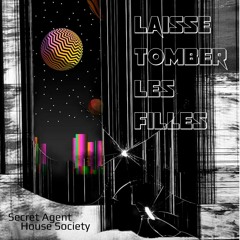 Laisse tomber les filles (Secret Agent House Society)