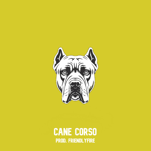 Cane Corso (prod. FriendlyFire)