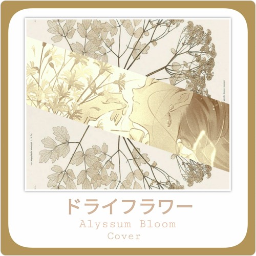 Dry Flowerドライフラワー Yuuri 優里 Short Piano ショートピアノ Alyssum Cover By Nyasukoo Dry Flowerドライフラワー Yuuri 優里 Short Piano ショートピアノ Alyssum Cover By Nyasukoo