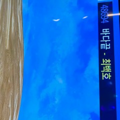최백호 - 바다 끝 Cover