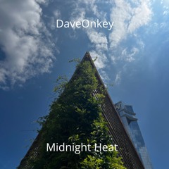 DaveOnkey | Midnight Heat