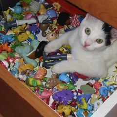 primavera en invierno