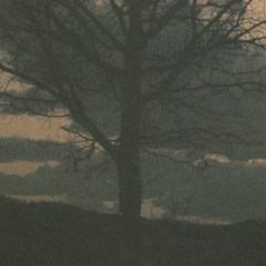 The Hill