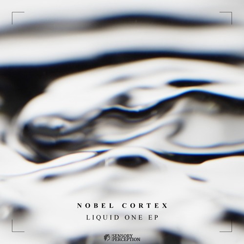 PREMIERE: Nobel Cortex - Tool Box [SENSE004]