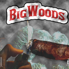 Big woods (feat. Domo)