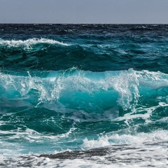 BERTOLINI - REFLECTION 01